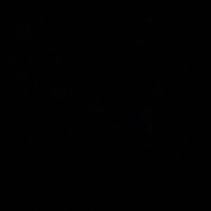 Meet your Posher, Marvin